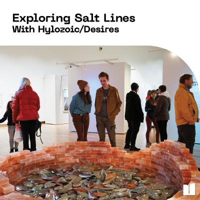 Exploring Salt Lines: With Hylozoic/Desires