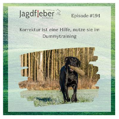 P194: Korrektur ist eine Hilfe, nutze sie im Dummytraining