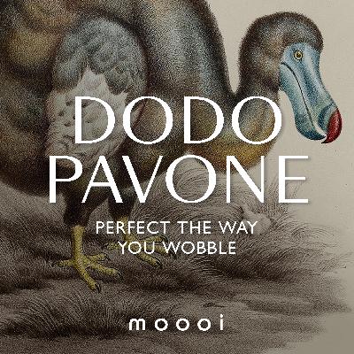 Dodo Pavone | Perfect the way you wobble