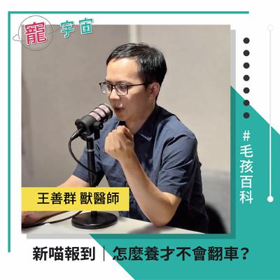 EP86《毛孩百科#38》新喵報到｜怎麼養才不會翻車？｜feat. 王善群 獸醫師