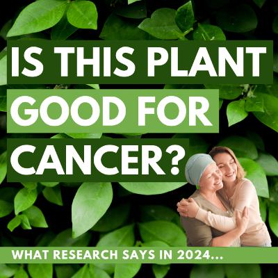 The Cannabis and Cancer Connection EP 211