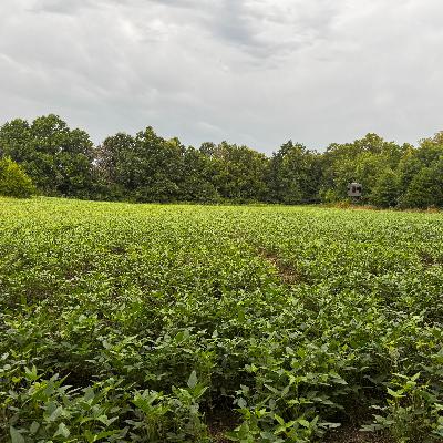 Step by Step Food Plot Install Breakdown
