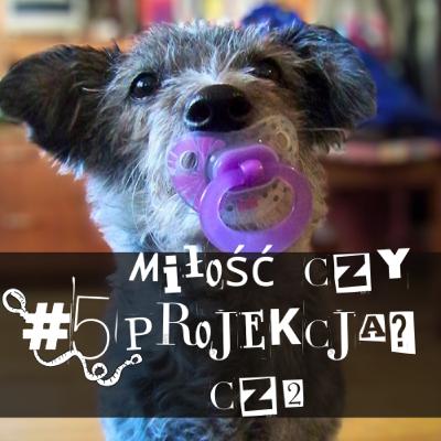 #5 Miłość czy projekcja? O uczłowieczaniu psów. Rozmowa z Joanną Wrześniowską na temat bambinizmu (cz. 2)