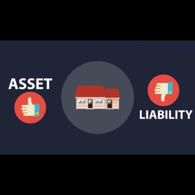 Voter's Box: Assets vs Liabilities