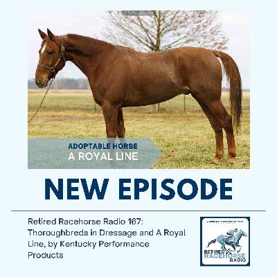 167: Thoroughbreds in Dressage and A Royal Line by Kentucky Performance Products 167: Thoroughbreds in Dressage and A Royal Line by Kentucky Performance Products