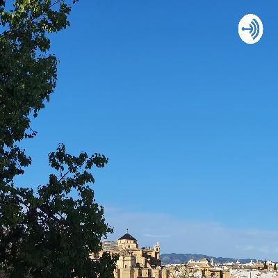 Feminist Jurisprudence