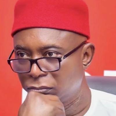 Nigerians should be allowed to carry guns — Ned Nwoko
