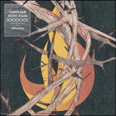 Meadows - Familiar With Pain | Interview