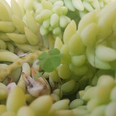 Mude de atitude seja um quanticista espiritualizado