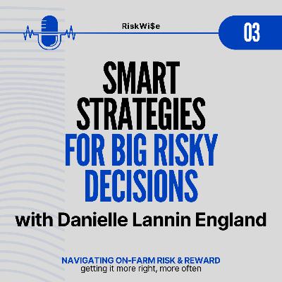 Smart strategies for big risky decisions