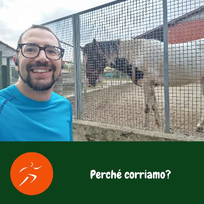 Perché corriamo?