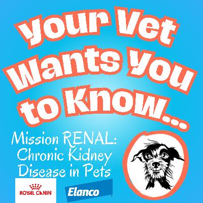 Mission RENAL 5: Varenzin™-CA 1 for Non-Regenerative Anemia in Cats with Chronic Kidney Disease