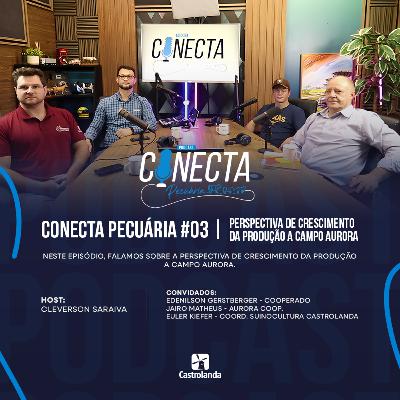 Conecta Pecuária #03 | Perspectiva de crescimento da produção a campo Aurora