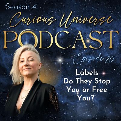 20 - Labels Do They Stop You or Free You? 20 - Labels Do They Stop You or Free You?