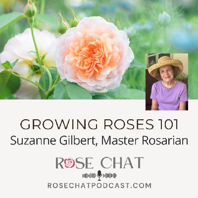 GROWING ROSES 101