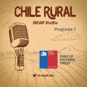Chile Rural - INDAP BioBío - Programa 7