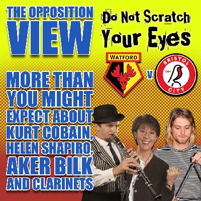 OPPOSITION VIEW - BRISTOL CITY (HOME) OPPOSITION VIEW - BRISTOL CITY (HOME)