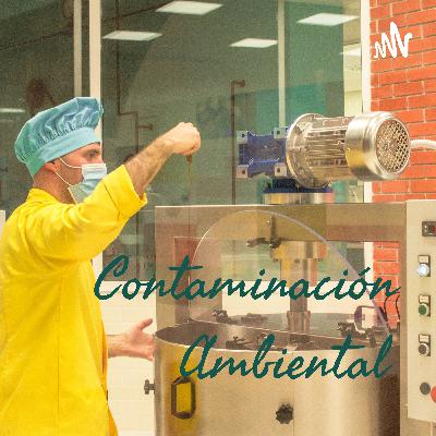 Contaminación Ambiental