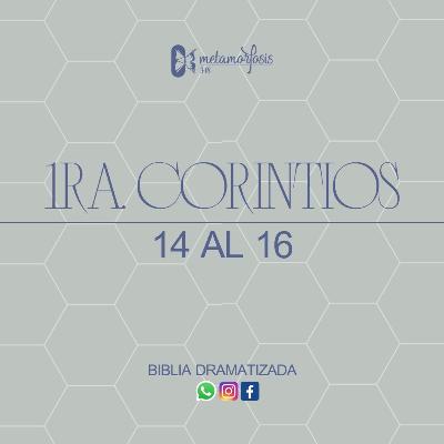 1ra. Corintios Capítulo 14 al 16 | Biblia Dramatizada