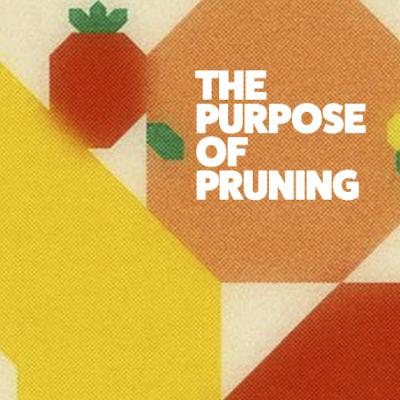 The Purpose Of Pruning –– God Is A Gardener –– Jordan Rippy