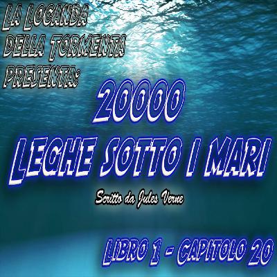 20000 Leghe sotto i mari - Parte 1 - Capitolo 20