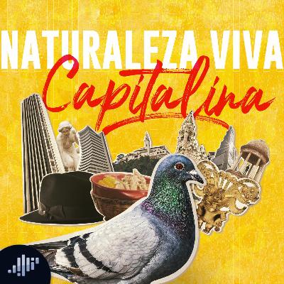 Naturaleza viva capitalina | Sintonízate Bogotá Naturaleza viva capitalina | Sintonízate Bogotá