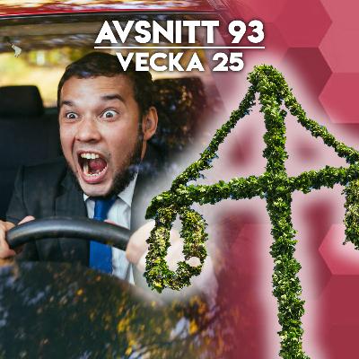 #93 - Vecka 25
