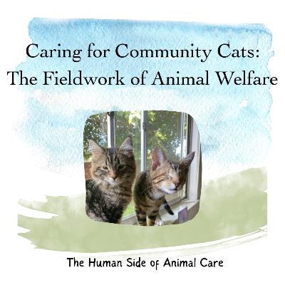 Caring for Community Cats: The Fieldwork of Animal Welfare