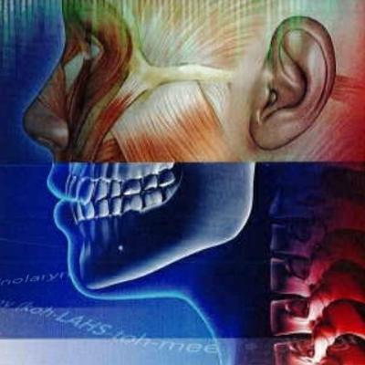 Medical Terminology for Health Professions Chapter 4: The Muscular System