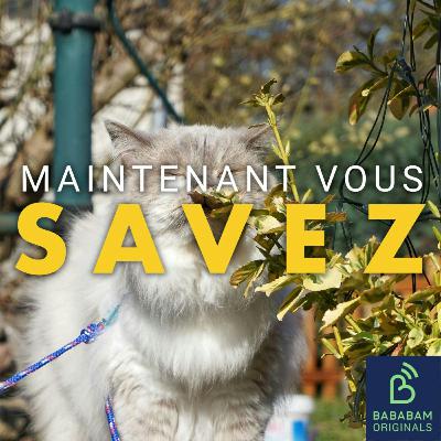 Les odeurs ont-elles une influence sur nos décisions ? Les odeurs ont-elles une influence sur nos décisions ?