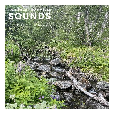 Ambience from a mountain stream in Jotunheimen Norway (1 hour) Ambience from a mountain stream in Jotunheimen Norway (1 hour)
