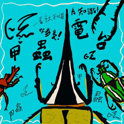 ep.5 特別篇--台灣的甲蟲生態