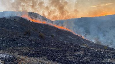 "En La Rioja no tenemos los recursos suficientes para afrontar fuegos tan virulentos como los de León" "En La Rioja no tenemos los recursos suficientes para afrontar fuegos tan virulentos como los de León"