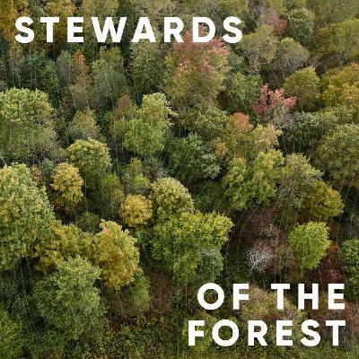 S4E6: Stewards of The Forest