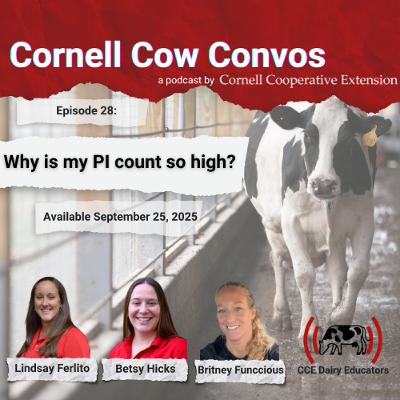 Cornell Cow Convos E28 Why Is My PI Count So High? Cornell Cow Convos E28 Why Is My PI Count So High?