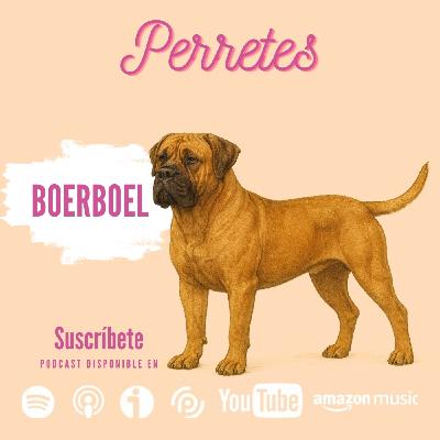 Ep93: Boerboel