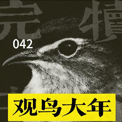 042-从拍糊鸟到 “观鸟大年”：一场关于爱好本质的摆烂式讨论