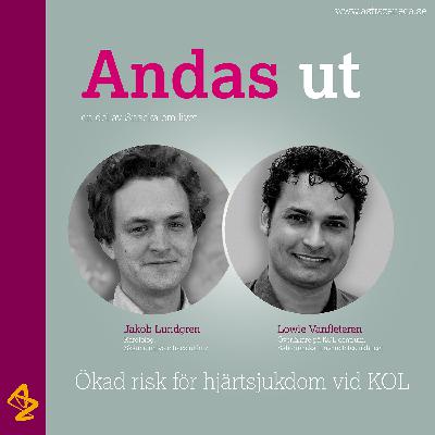 Andas ut: Ökad risk för hjärtsjukdom vid KOL