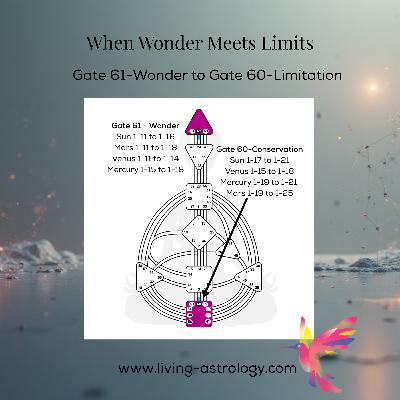What Happens When Wonder Meets Limits - Gate 61 to Gate 60