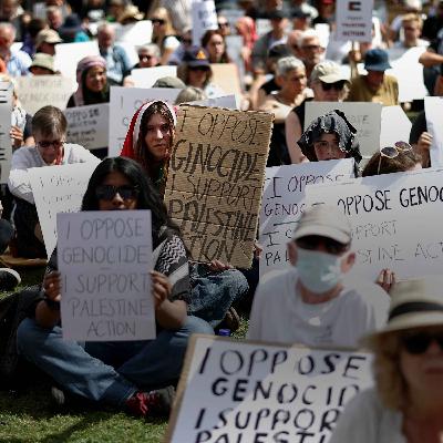 Is proscribing Palestine Action a PR disaster for the government?