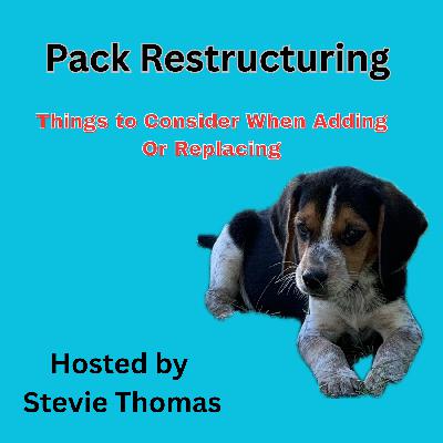 Restarting a Kennel: How I'm Rebuilding My Pack Restarting a Kennel: How I'm Rebuilding My Pack