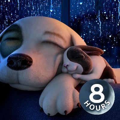 Does Your Dog Have Separation Anxiety? Calm Your Dog with 8-Hour Relaxing Rain Noise
