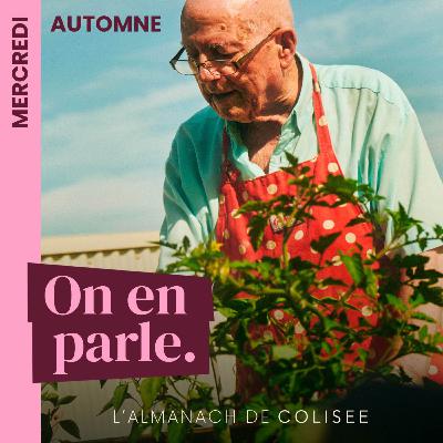 mercredi 17 décembre  St Judicaël - le pot-au-feu