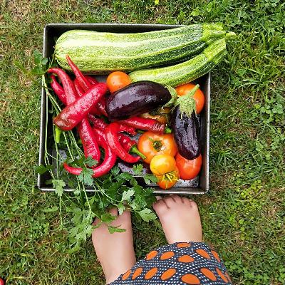 Growing as a family with Bridget Scully from Nurture Earth