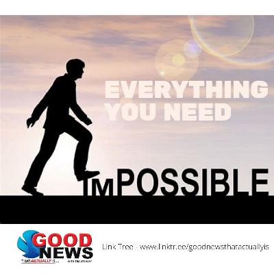 Everything You Need Everything You Need