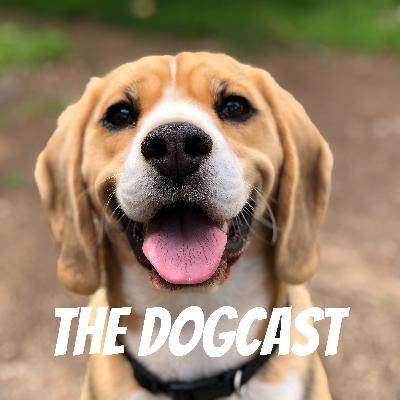 The DogCast Episode 6, The 3 worst things about having a dog and the 3 best things about having a dog.