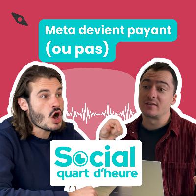 11 - Meta devient payant (ou pas)