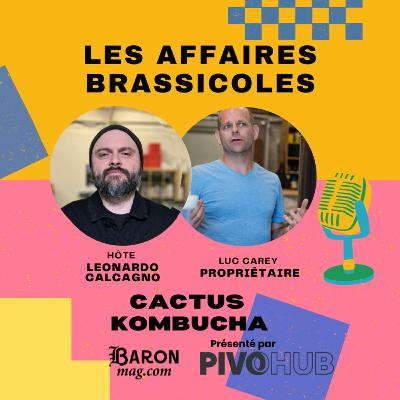 Les Affaires Brassicoles #510 | Cactus Kombucha: Boissons pétillantes et cueillettes boréales