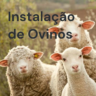 Instalações de Ovinos