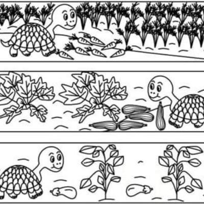 La minestrina di Verdolina cl.1 ADRIANA La minestrina di Verdolina cl.1 ADRIANA
